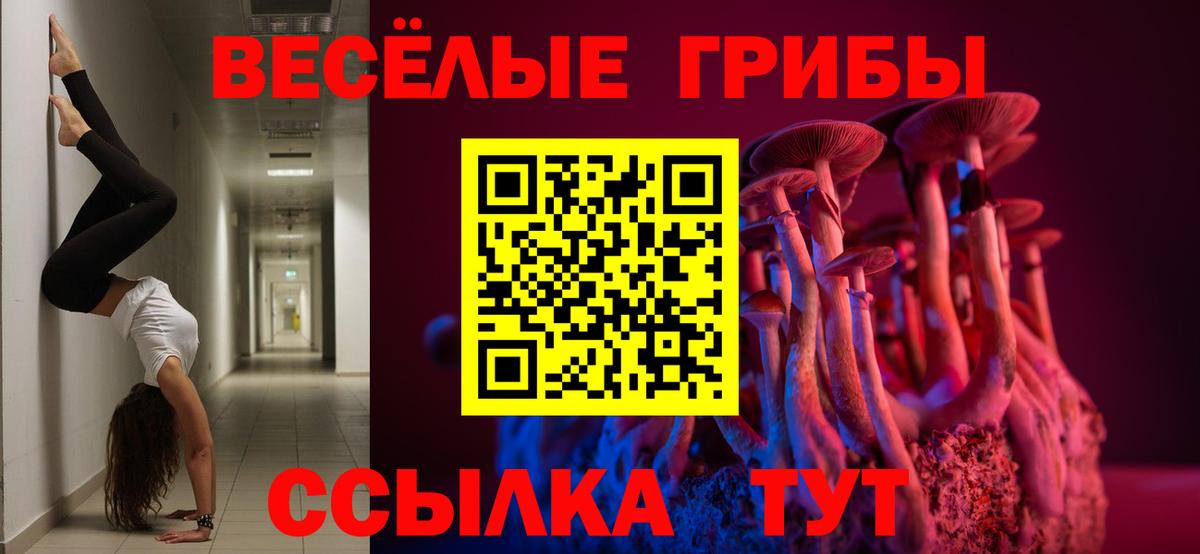 Галлюциногенные грибы мухоморы  Вход с VPN  Карачаевск 